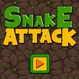 Snake attack